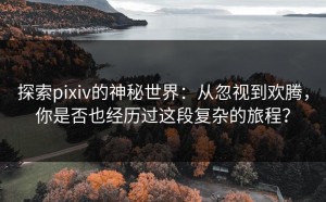 探索pixiv的神秘世界：从忽视到欢腾，你是否也经历过这段复杂的旅程？