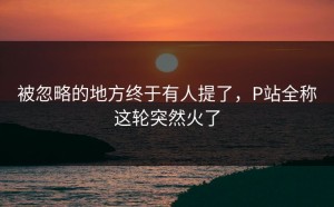 被忽略的地方终于有人提了，P站全称这轮突然火了