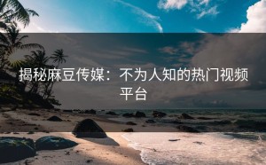 揭秘麻豆传媒：不为人知的热门视频平台