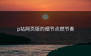 p站网页版的细节点燃节奏