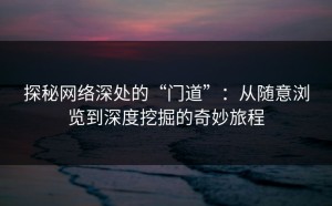 探秘网络深处的“门道”：从随意浏览到深度挖掘的奇妙旅程