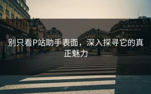 别只看P站助手表面，深入探寻它的真正魅力