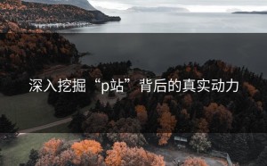 深入挖掘“p站”背后的真实动力