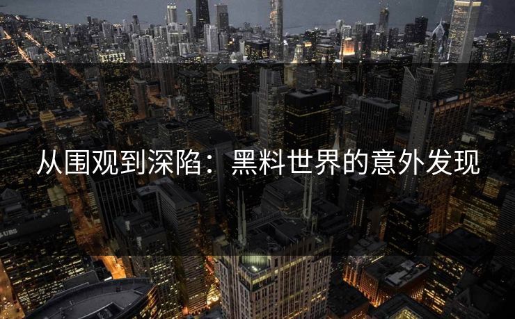 从围观到深陷：黑料世界的意外发现