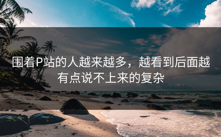 围着P站的人越来越多,越看到后面越有点说不上来的复杂 围着P站的人越来越多,越看到后面越有点说不上来的复杂